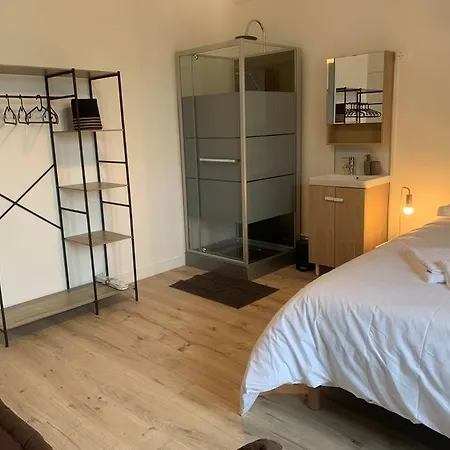 Spacieux Duplex Centre Et Bord Du Cher Loire Valley