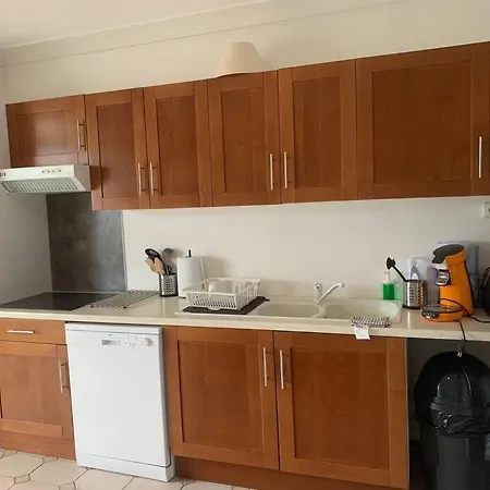 Spacieux Duplex Centre Et Bord Du Cher Loire Valley Апартаменты *