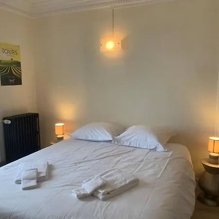 Spacieux Duplex Centre Et Bord Du Cher Loire Valley Lägenhet *