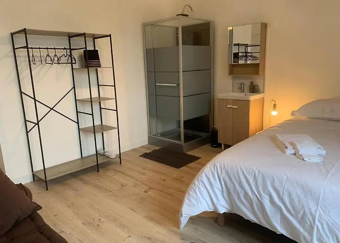 Spacieux Duplex Centre Et Bord Du Cher Loire Valley