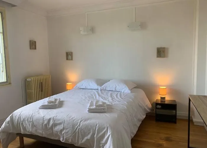 Spacieux Duplex Centre Et Bord Du Cher Loire Valley Tours