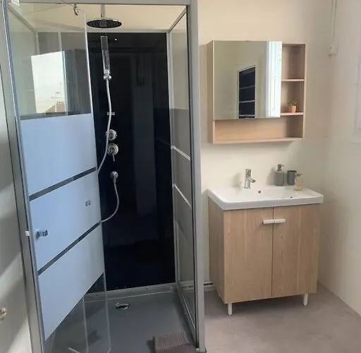 Spacieux Duplex Centre Et Bord Du Cher Loire Valley Tours