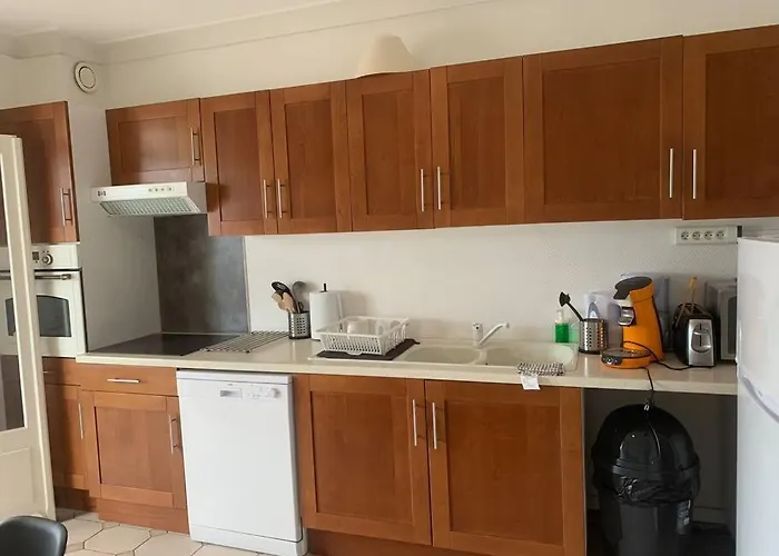 Spacieux Duplex Centre Et Bord Du Cher Loire Valley Апартаменты *