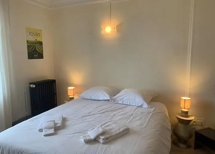 Spacieux Duplex Centre Et Bord Du Cher Loire Valley Апартаменты *